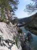 collias016.jpg