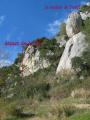 collias022.jpg