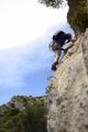 collias029.jpg