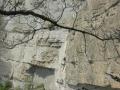 crolles096.jpg