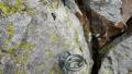 gedregavarnie028.jpg