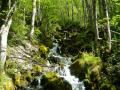 lachapelledabondance003.jpg