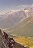 lauzet05.jpg