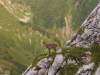 legrandbornand001.jpg
