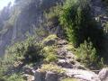 lesorres004.jpg