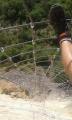 millau055.jpg