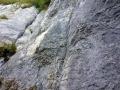 moiransenmontagne009.jpg
