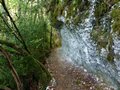moiransenmontagne036.jpg