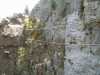 morez02.jpg