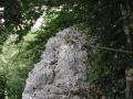 morez032.jpg