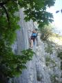 morez043.jpg