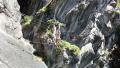 pralognanlavanoise037.jpg