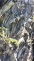 pralognanlavanoise038.jpg