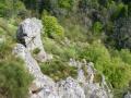 saintjeanlachalm004.jpg