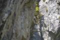 saintsorlindarves011.jpg