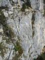 stjeandarvey110.jpg