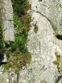 stsorlindarves010.jpg