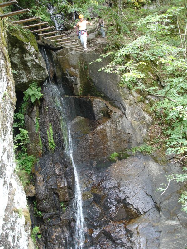 Bois des Baltuergues: stegenevievesurargence006.jpg