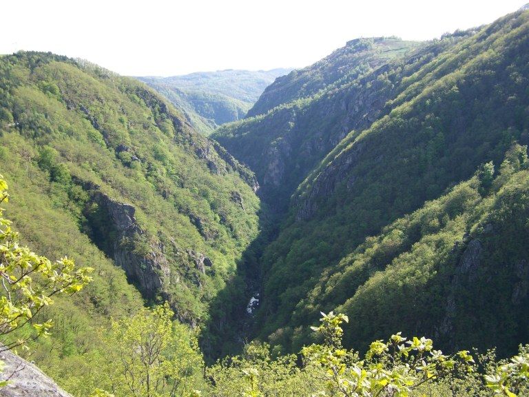 Bois des Baltuergues: stegenevievesurargence009.jpg