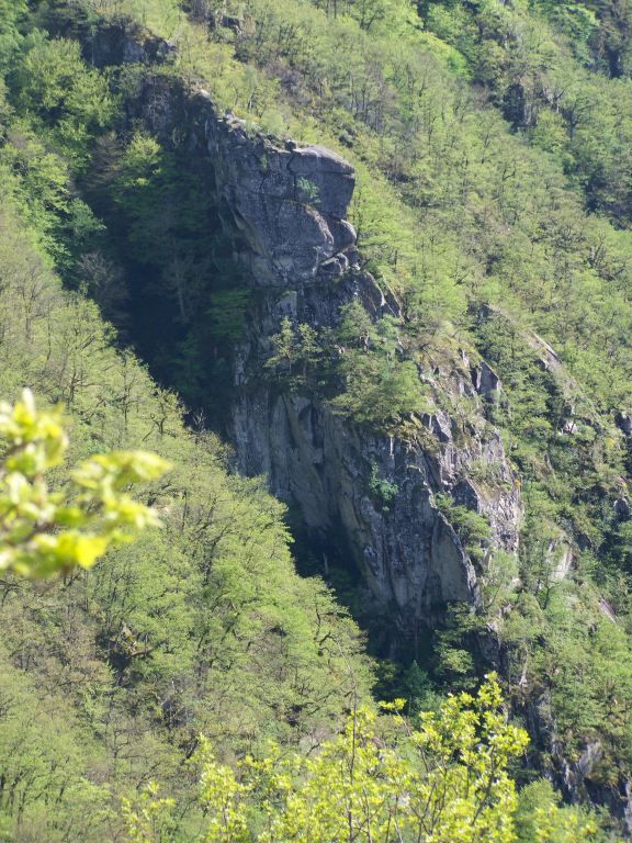 Bois des Baltuergues: stegenevievesurargence010.jpg