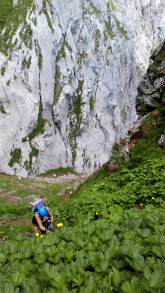 Randonn�e alpine du Pas de l'Ours: ugine028.jpg