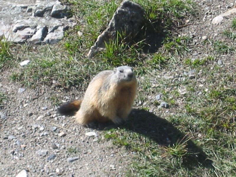 Le Rocher Saint-Pierre: valloire018.jpg