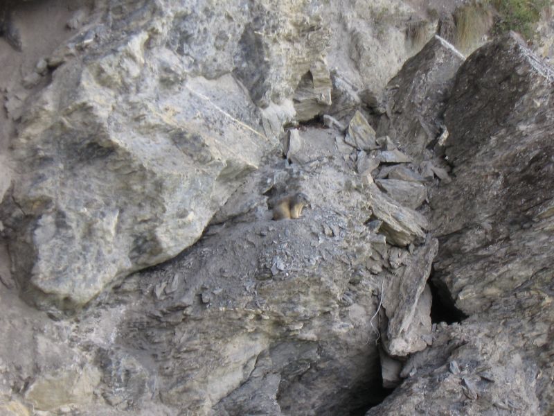 Le Rocher Saint-Pierre: valloire021.jpg